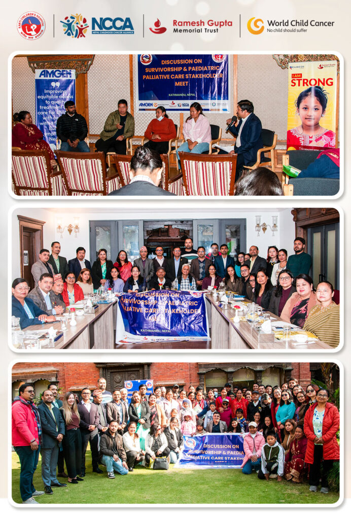 Discussion on Survivorship and Pediatric Palliative Care Stakeholder Meeting